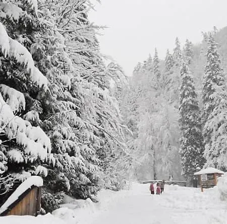 Penzion Trangoska *