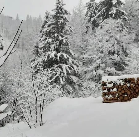 Gasthof Trangoska *