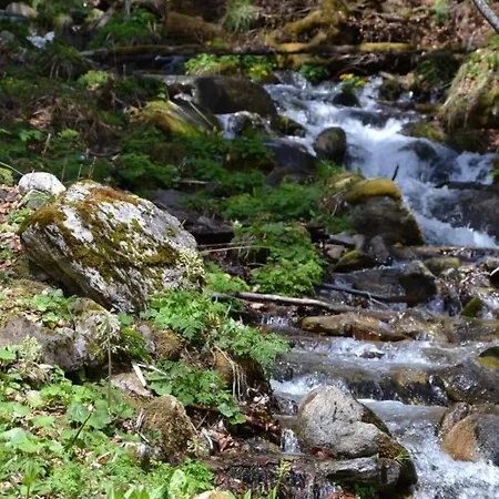Penzion Trangoska Tále