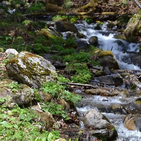 Penzion Trangoska Tále