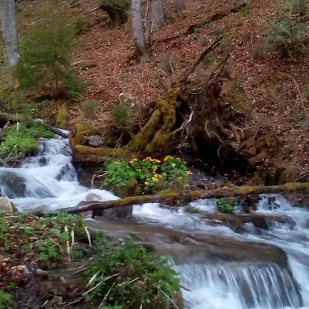 Trangoska * Tále
